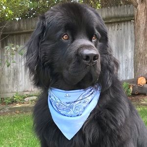 Meet your Posher, Garrett